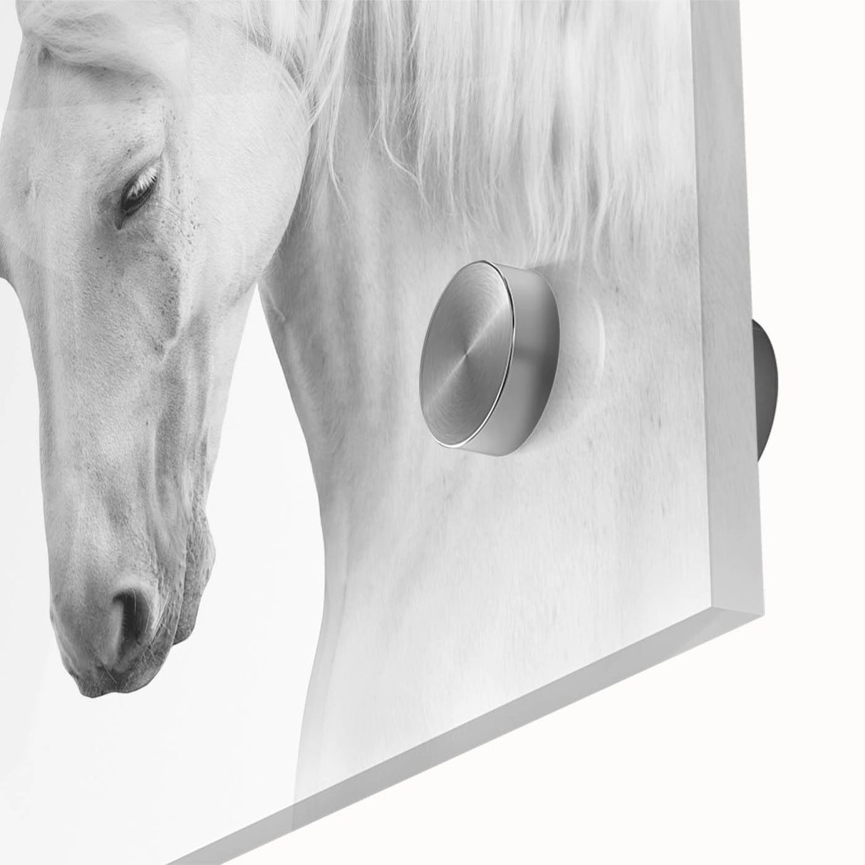 Close-up of a vibrant acrylic glass wall art piece showcasing a wild horse design, featuring rich colors and intricate details that highlight the beauty of nature. Ideal for animal lovers and art enthusiasts, this piece adds a striking element to any decor.