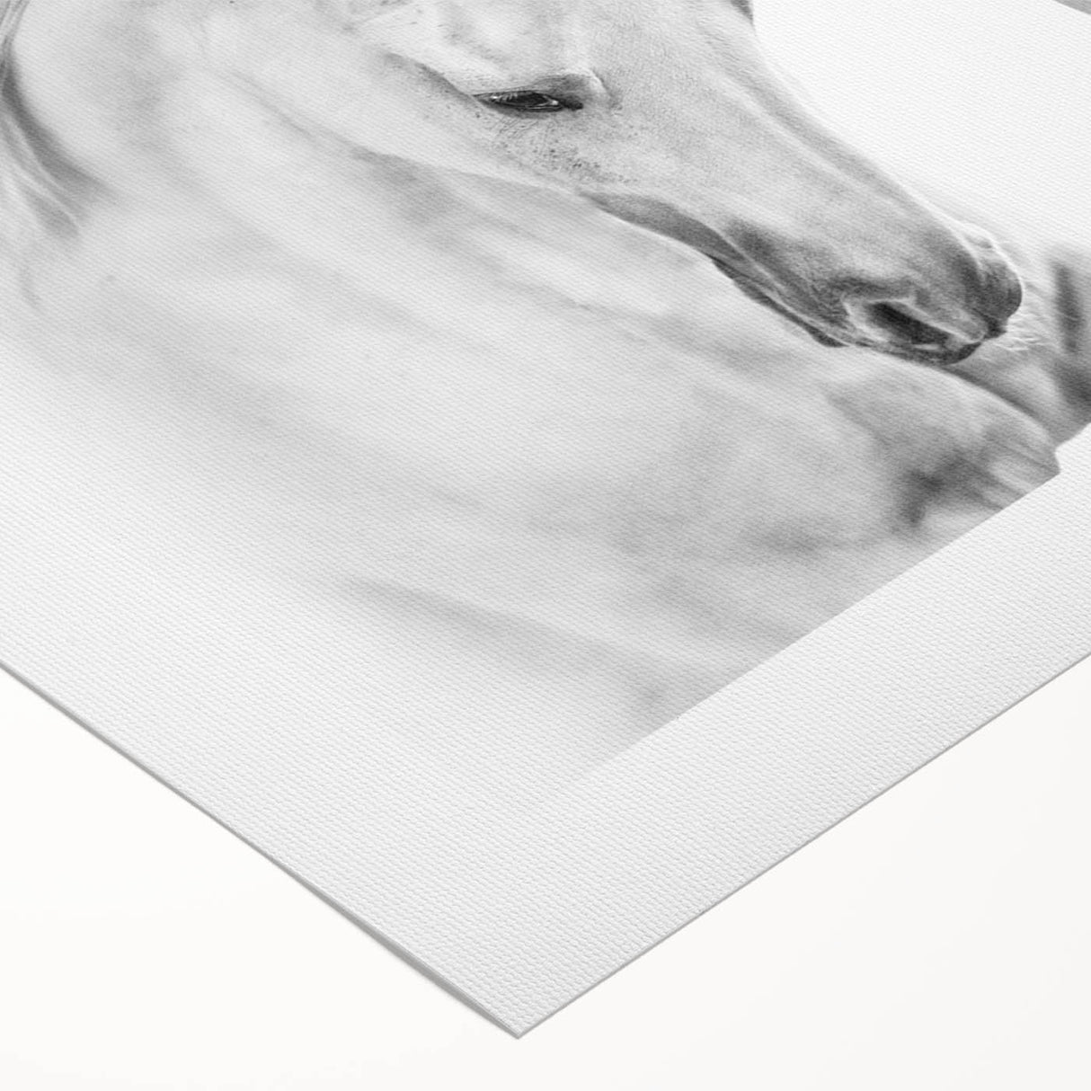 Elegant rolled canvas artwork depicting a wild horse design, showcasing vibrant colors and intricate details, ideal for animal lovers and home decor enthusiasts.