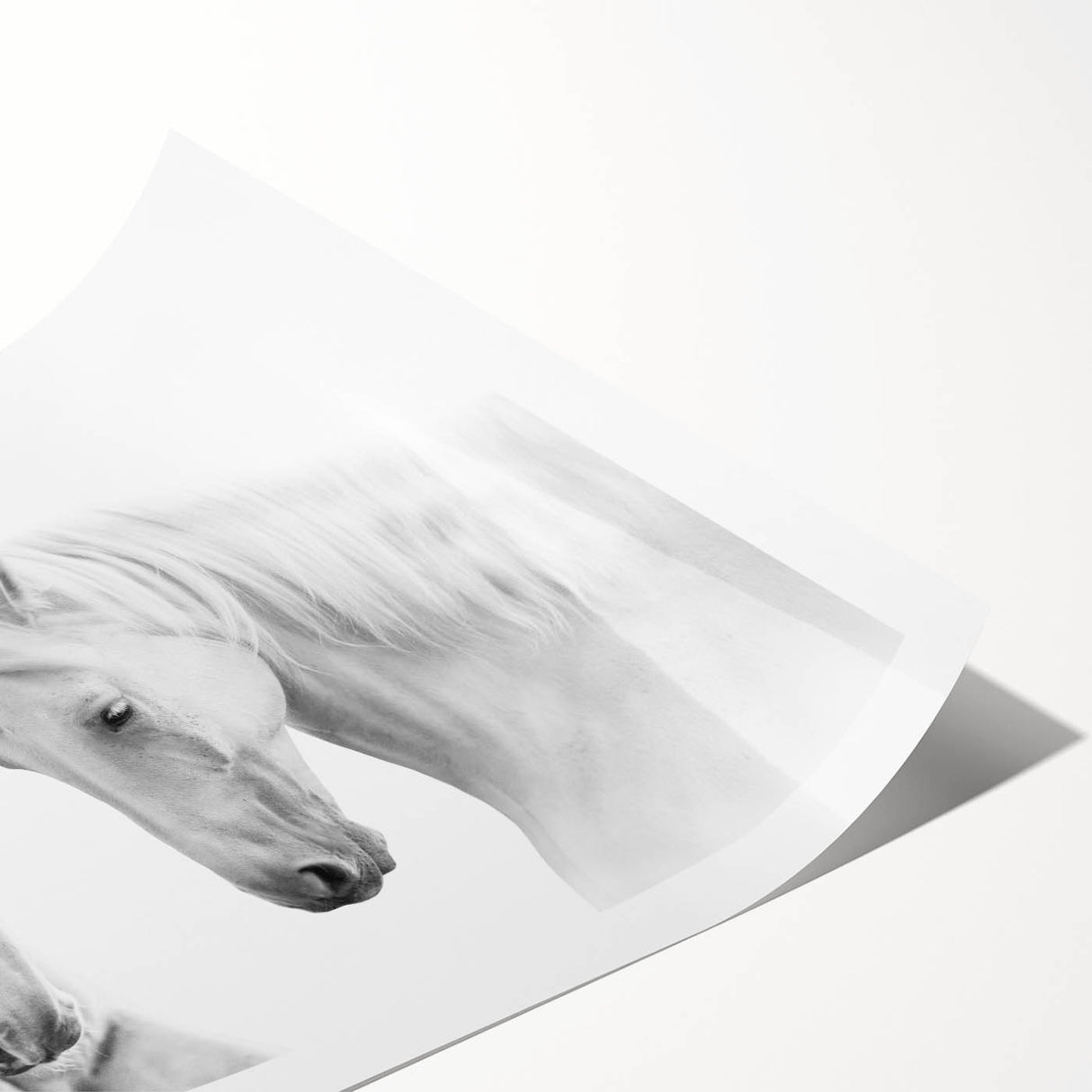 Stunning wall art print of a majestic wild horse galloping through a vibrant landscape, perfect for nature lovers and equine enthusiasts, showcasing rich colors and dynamic movement.