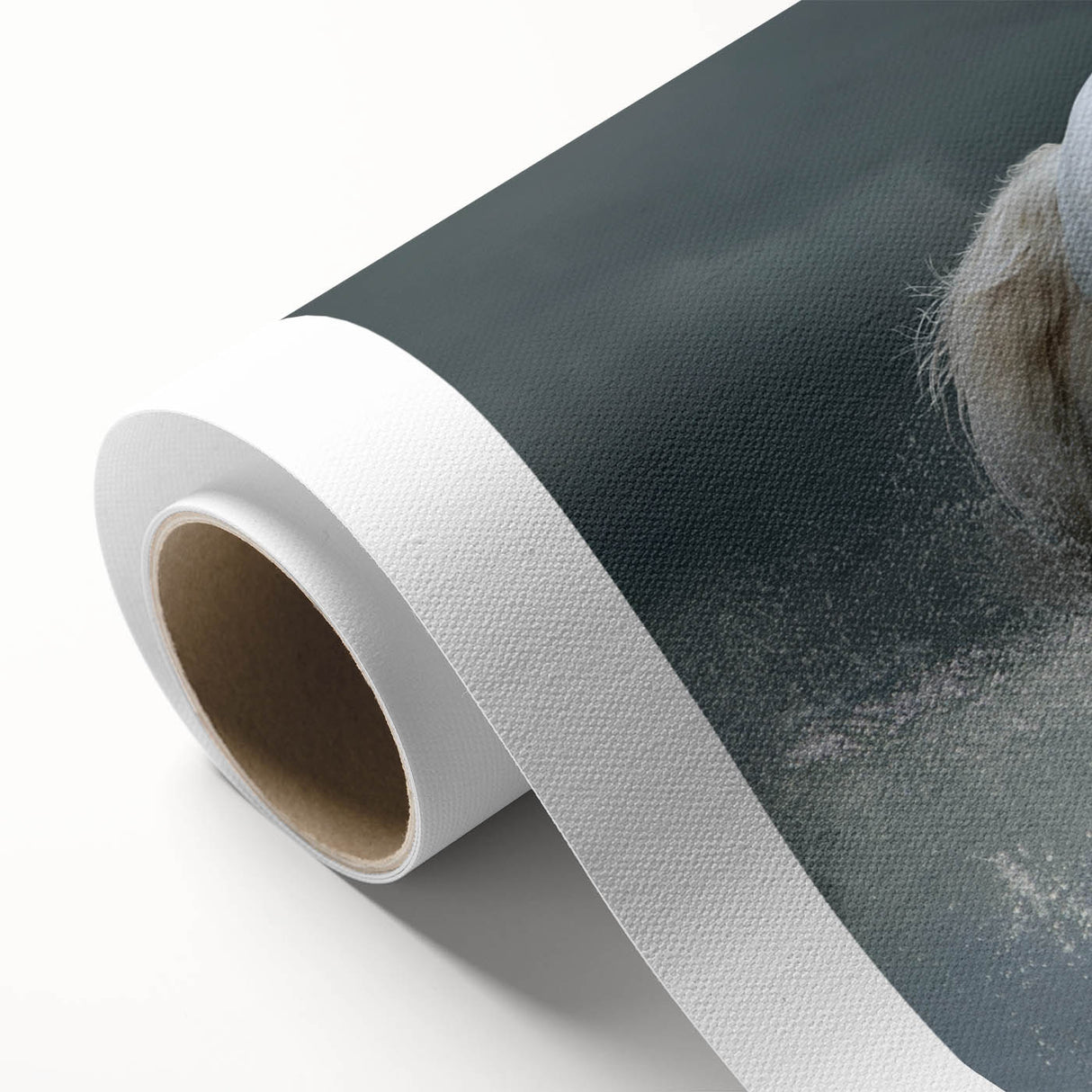 Rolled canvas wall art showcasing a vibrant horse design, featuring intricate details and textures, ideal for animal lovers and modern decor enthusiasts.