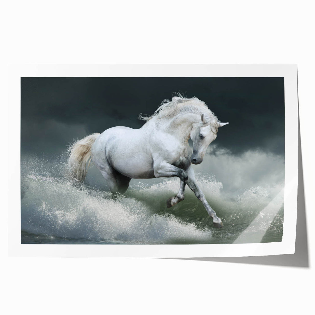 Rolled print showcasing a stunning horse design for wall art, featuring rich colors and detailed textures, ideal for nature-themed decor enthusiasts.