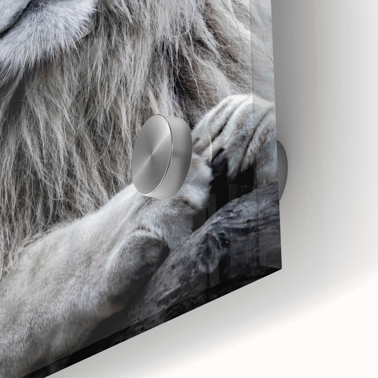 Close-up of a striking lion wall art design on acrylic glass, showcasing vibrant colors and intricate details, perfect for wildlife enthusiasts and home decor.