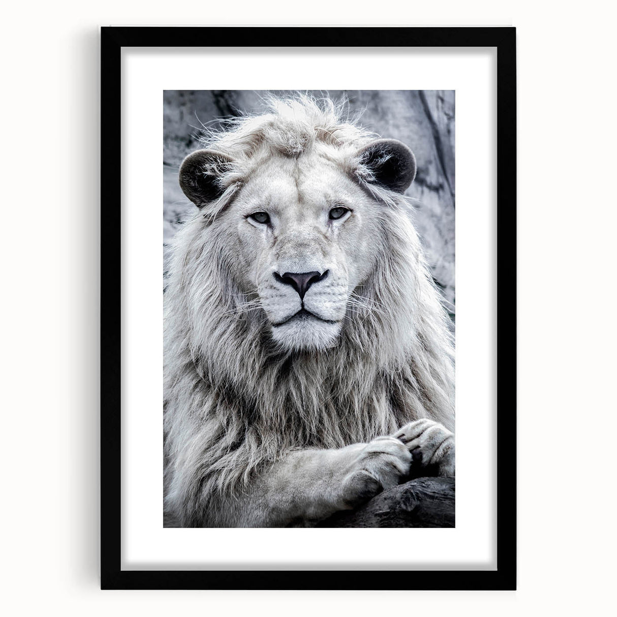 Black-framed wall art featuring a majestic lion design, showcasing intricate details and vibrant colors, ideal for animal lovers and home décor enthusiasts.