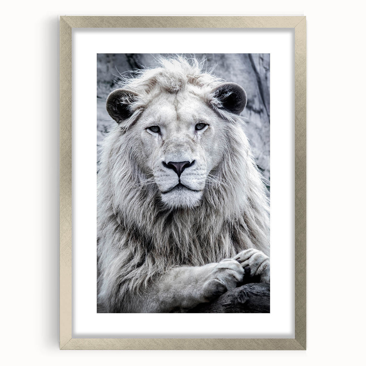 Framed wall art featuring a striking lion design, showcased in a silver frame with a mat, perfect for adding wildlife-inspired elegance to any room.