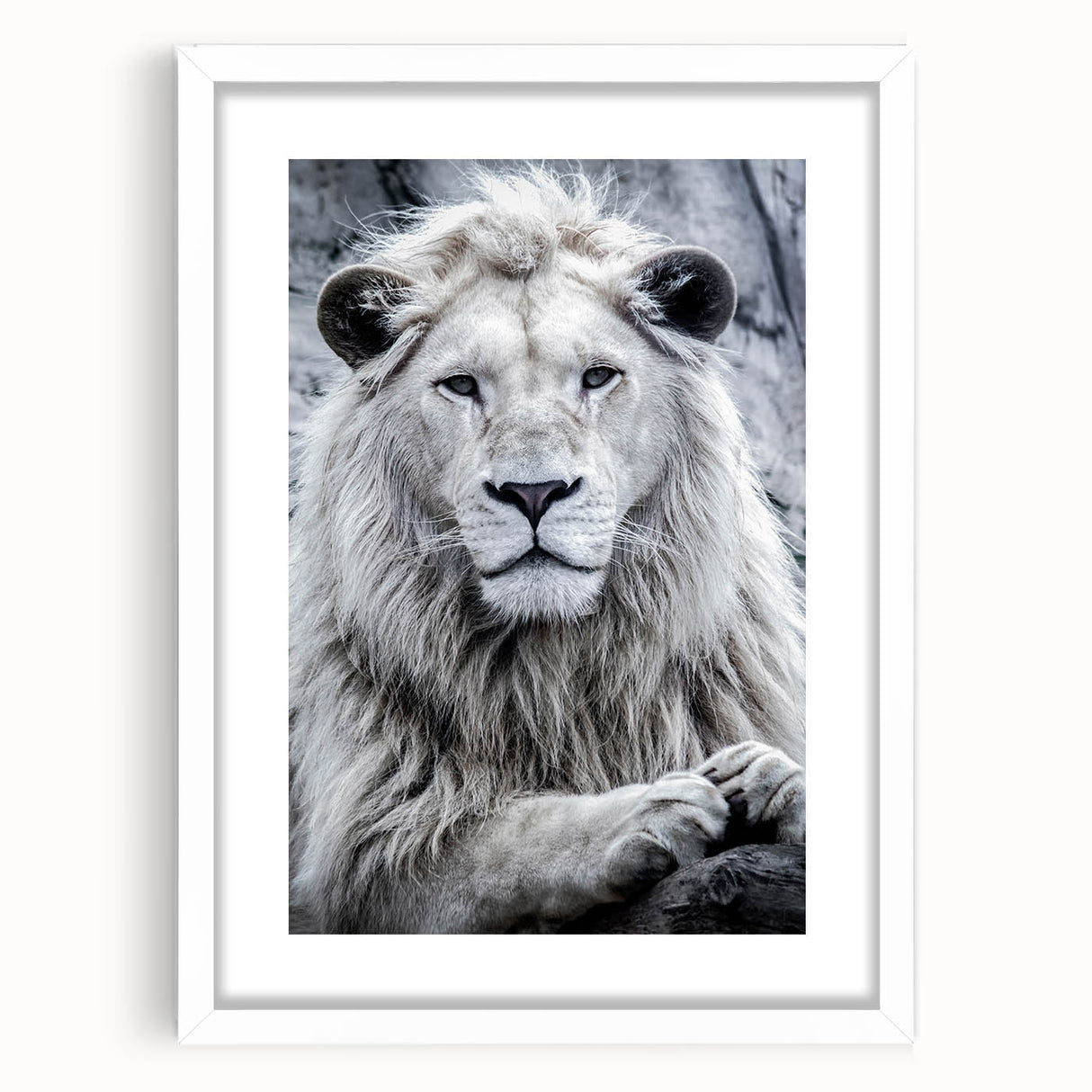 Framed wall art featuring a majestic lion design, showcasing vibrant colors and intricate details, with a white mat and frame, ideal for wildlife enthusiasts.