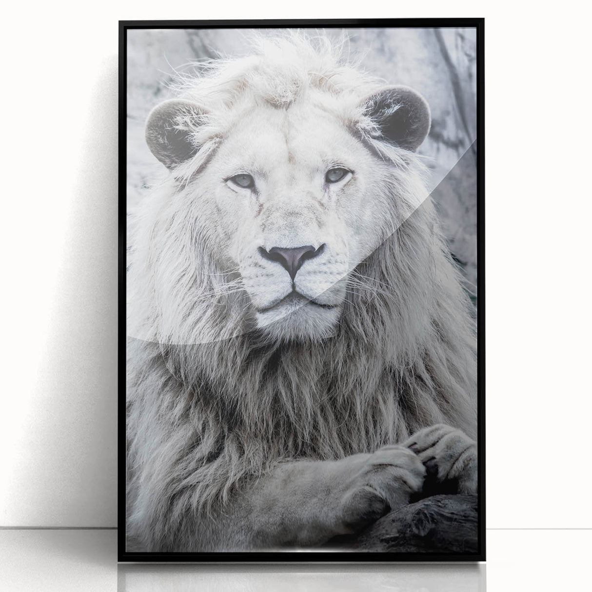 Framed acrylic wall art showcasing a striking lion design, featuring a black frame and vivid colors, perfect for wildlife enthusiasts and home decor.