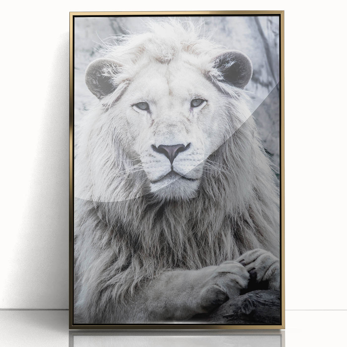 Lion wall art design featuring a majestic gold-accented acrylic frame, showcasing a detailed front view of a fierce lion, perfect for wildlife enthusiasts.