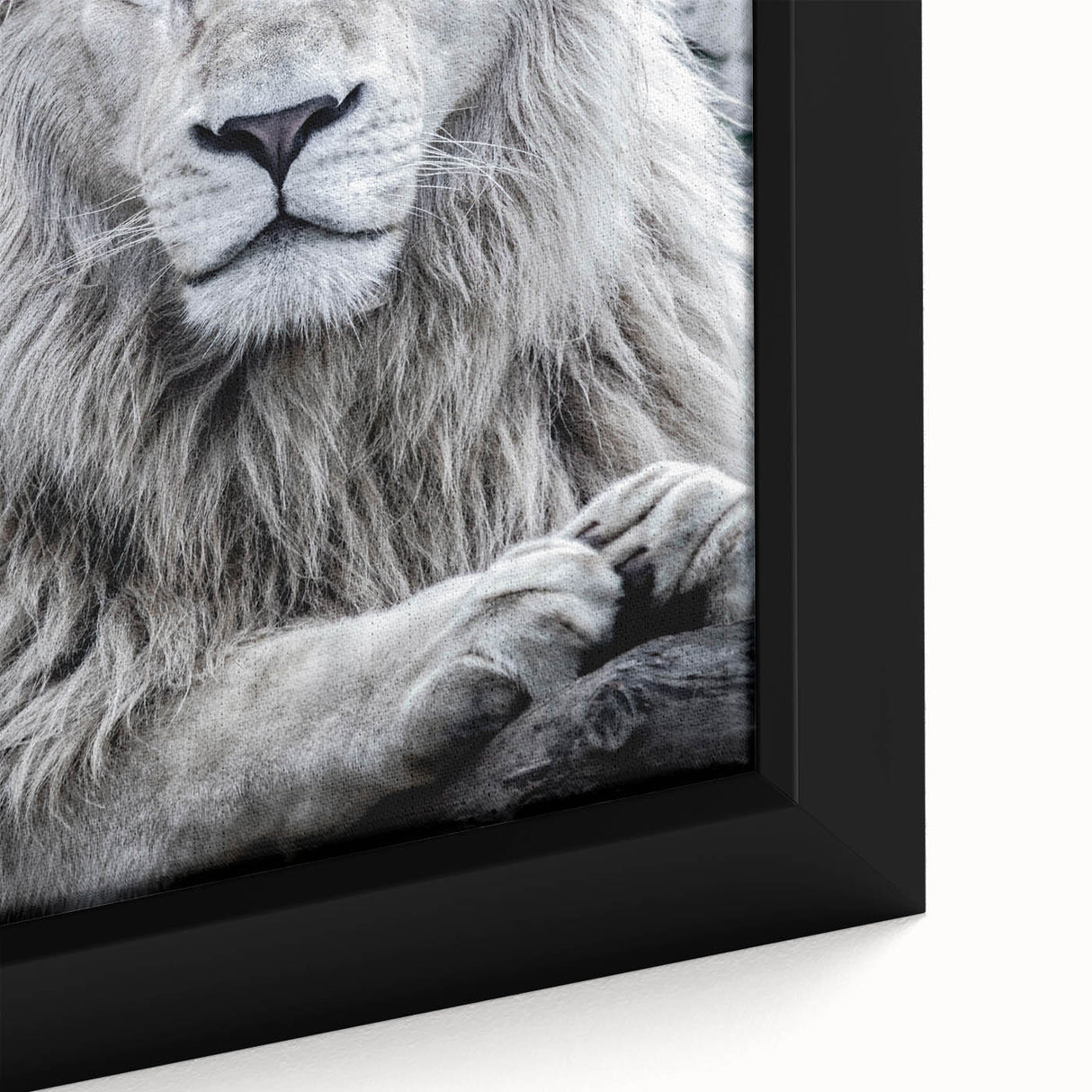 Close-up of a framed canvas wall art featuring a majestic lion design, showcasing intricate details and rich colors, perfect for wildlife enthusiasts and home decor.