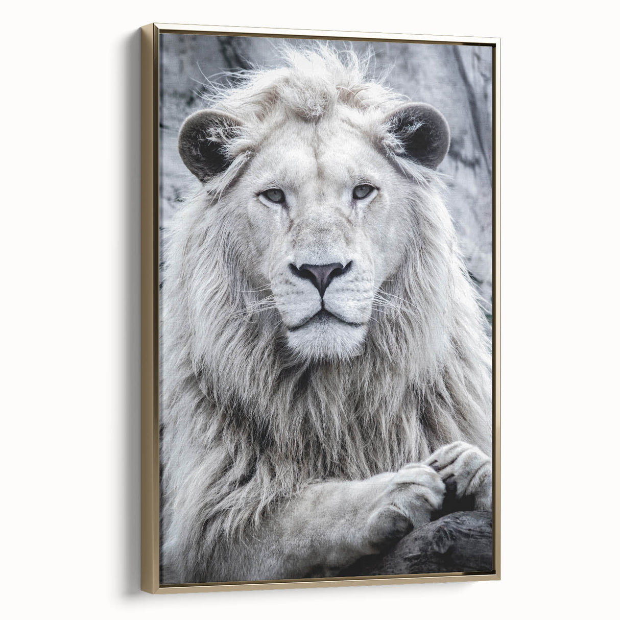 Framed wall art showcasing a majestic lion in profile, set against a gold background, perfect for enhancing modern home decor with wildlife elegance.