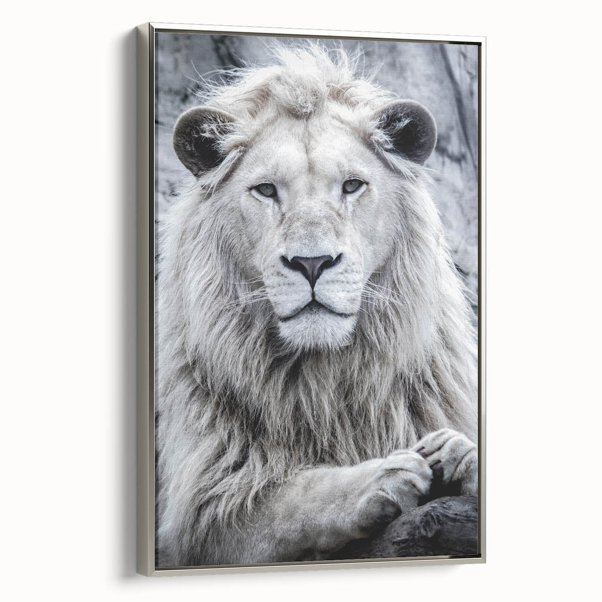 Framed canvas wall art showcasing a majestic lion design in a silver frame, perfect for wildlife enthusiasts. The piece highlights intricate detailing and vibrant colors, adding a bold touch to any room decor.