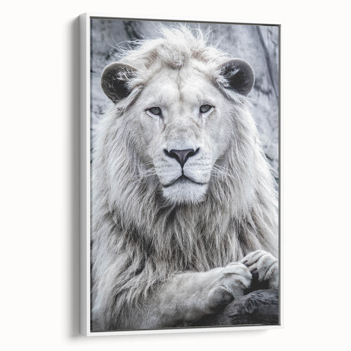 Framed wall art canvas featuring a majestic lion design in a vibrant color palette, showcasing intricate details and a sleek white frame, ideal for wildlife enthusiasts.
