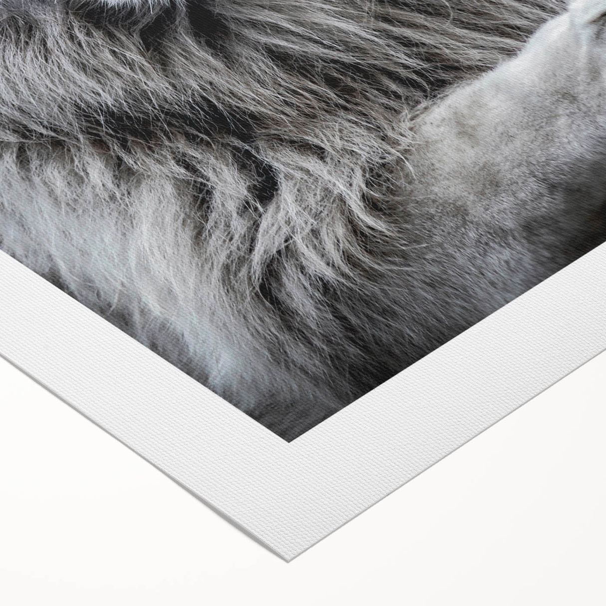 Vibrant rolled canvas wall art showcasing a majestic lion design, perfect for animal lovers and wildlife enthusiasts, featuring rich colors and intricate details.