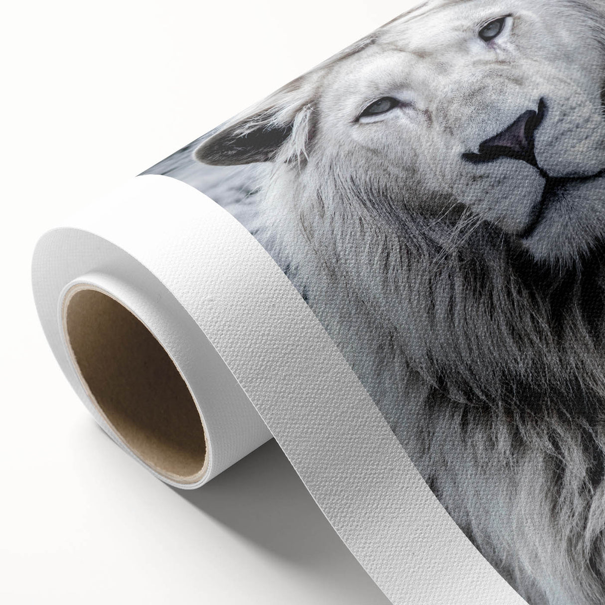 Majestic lion wall art on rolled canvas, showcasing intricate details and vibrant colors, perfect for adding a touch of wildlife elegance to any decor.