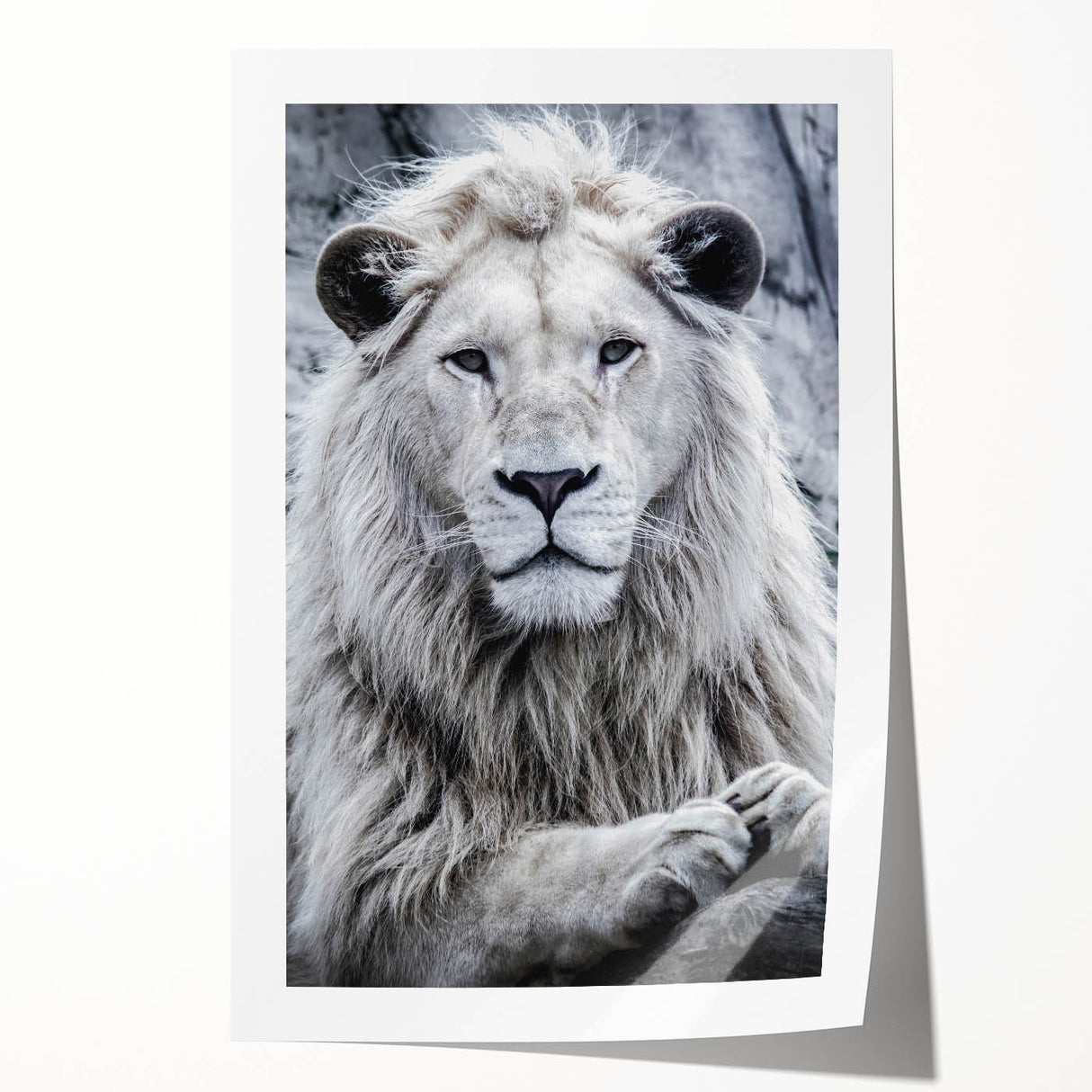 Vibrant lion wall art print showcasing bold colors and intricate details, perfect for animal lovers and home decor enthusiasts, rolled for easy framing.