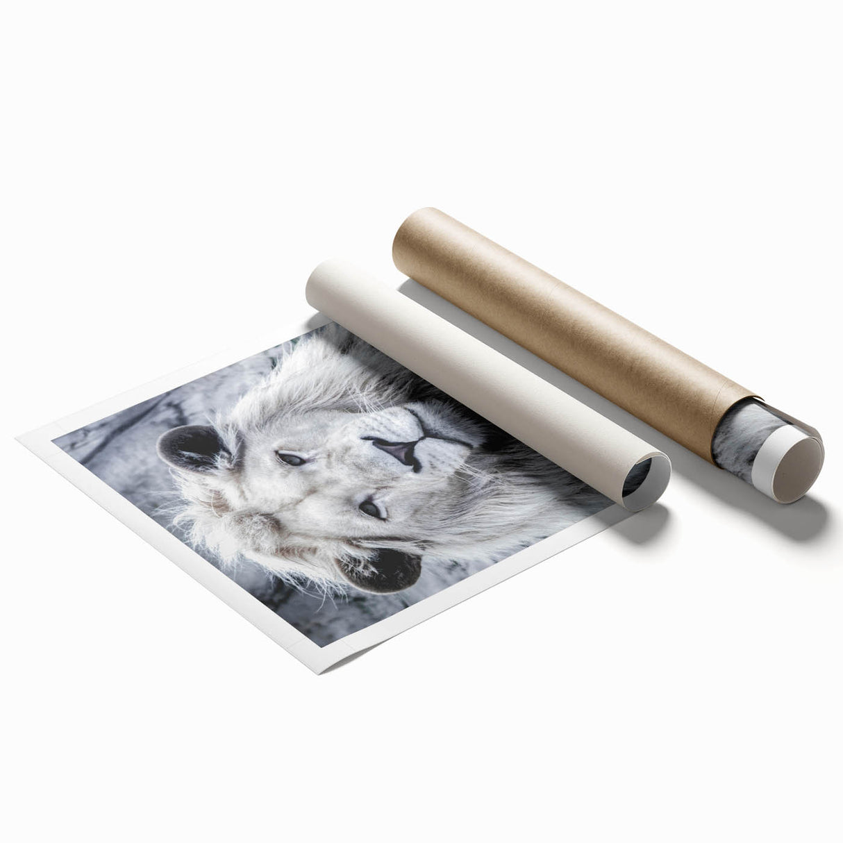 Vibrant rolled print of a majestic lion design, featuring rich earthy tones and intricate details, ideal for wildlife-themed decor and art enthusiasts.