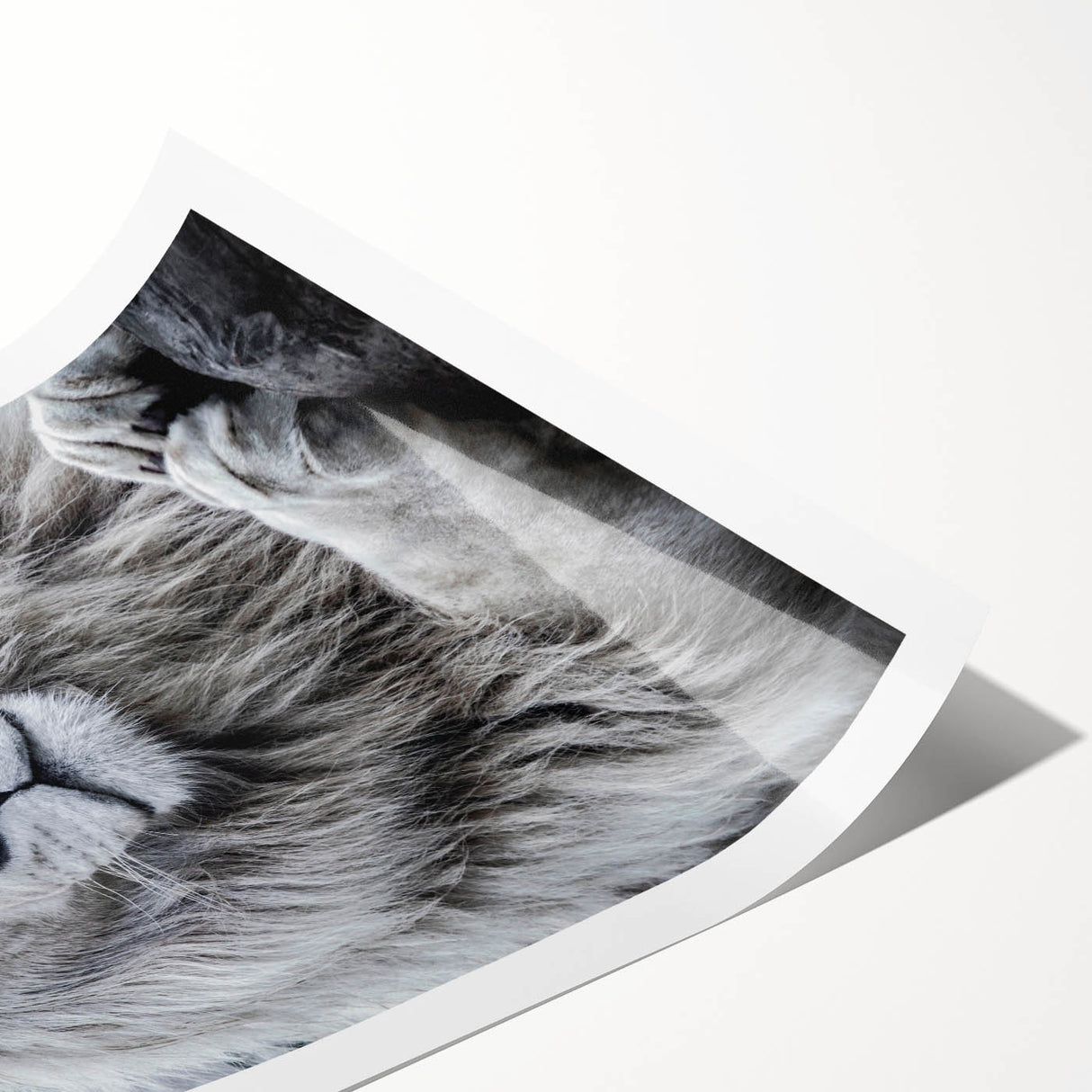 Vibrant wall art print featuring a majestic lion design, showcasing intricate details and rich colors, perfect for wildlife enthusiasts and home decor.