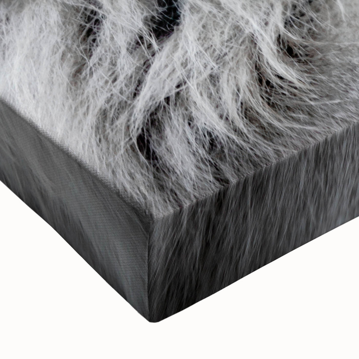 Close-up of a vibrant lion wall art design on stretched canvas, showcasing intricate details and rich colors, perfect for wildlife enthusiasts and home decor.