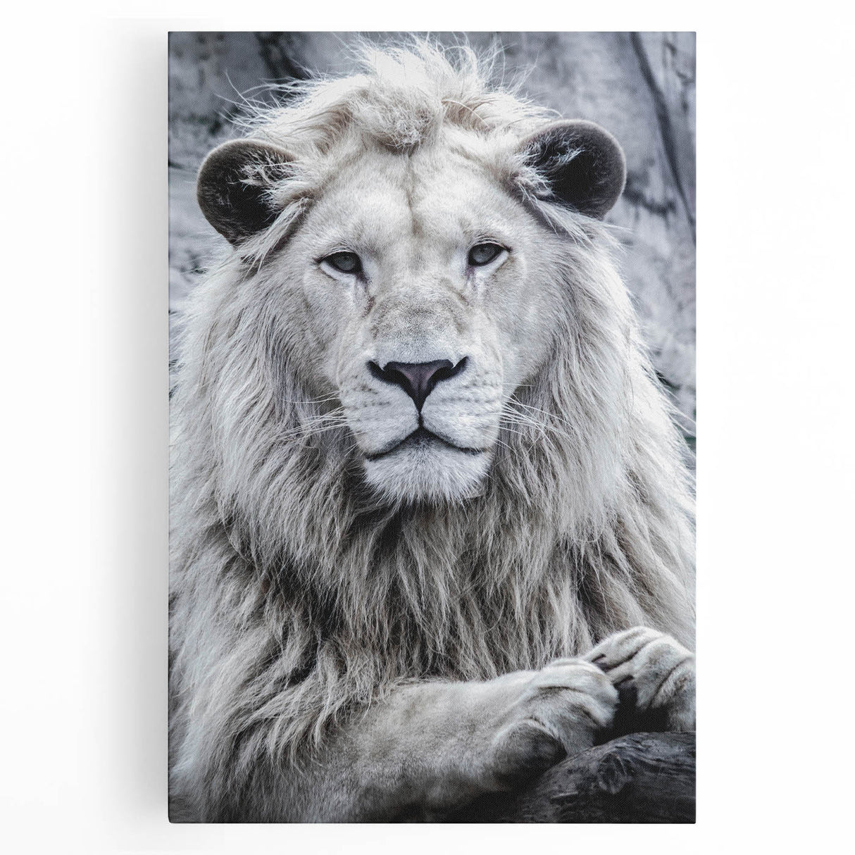 Majestic lion wall art on stretched canvas, showcasing vibrant colors and intricate details, perfect for wildlife enthusiasts and home decor lovers.