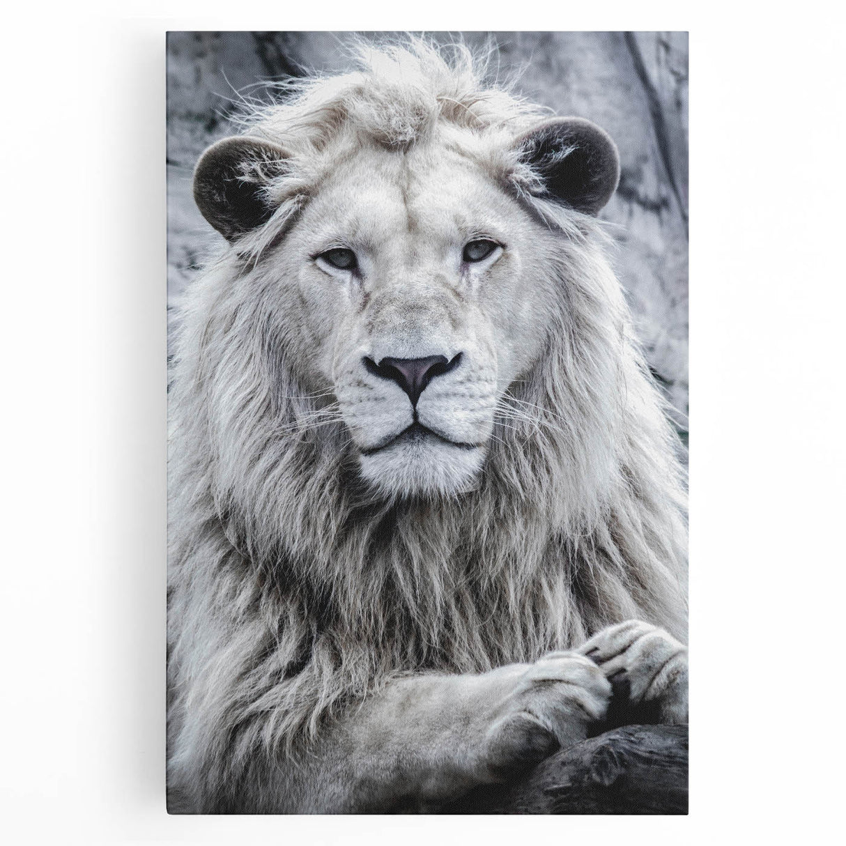 Majestic lion wall art on stretched canvas, showcasing vibrant colors and intricate details, perfect for adding a wild touch to home decor.