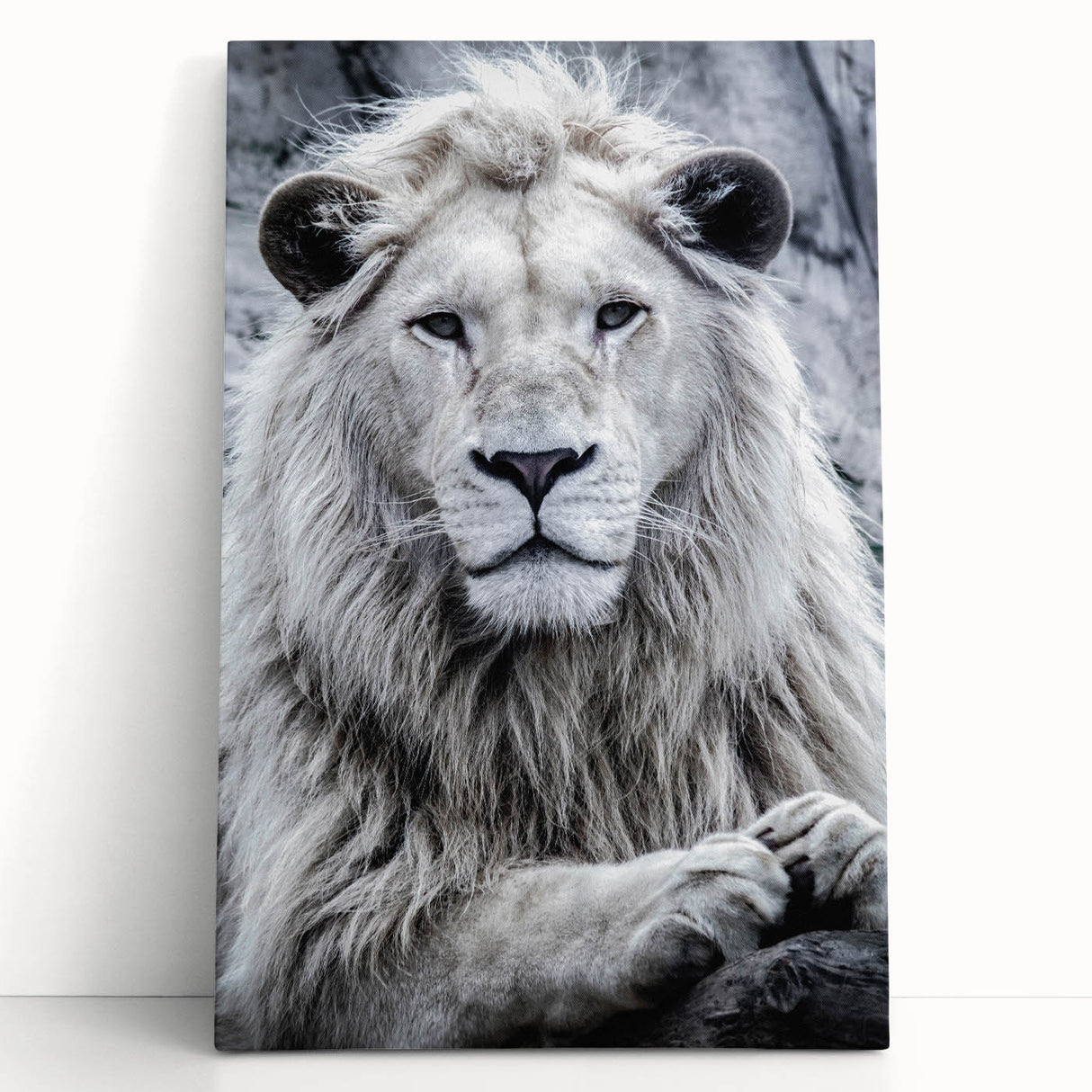 Stretched canvas artwork depicting a majestic lion in a vibrant, colorful abstract style, ideal for animal lovers and home decor enthusiasts. Perfect for adding a wild touch to any interior space.