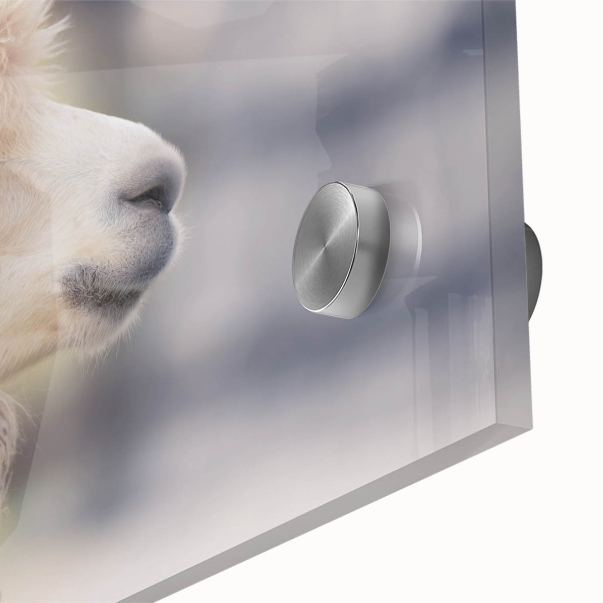 Close-up of a vibrant acrylic wall art piece showcasing a detailed illustration of a llama and an alpaca, featuring rich colors and textures, perfect for animal lovers and home decor enthusiasts.