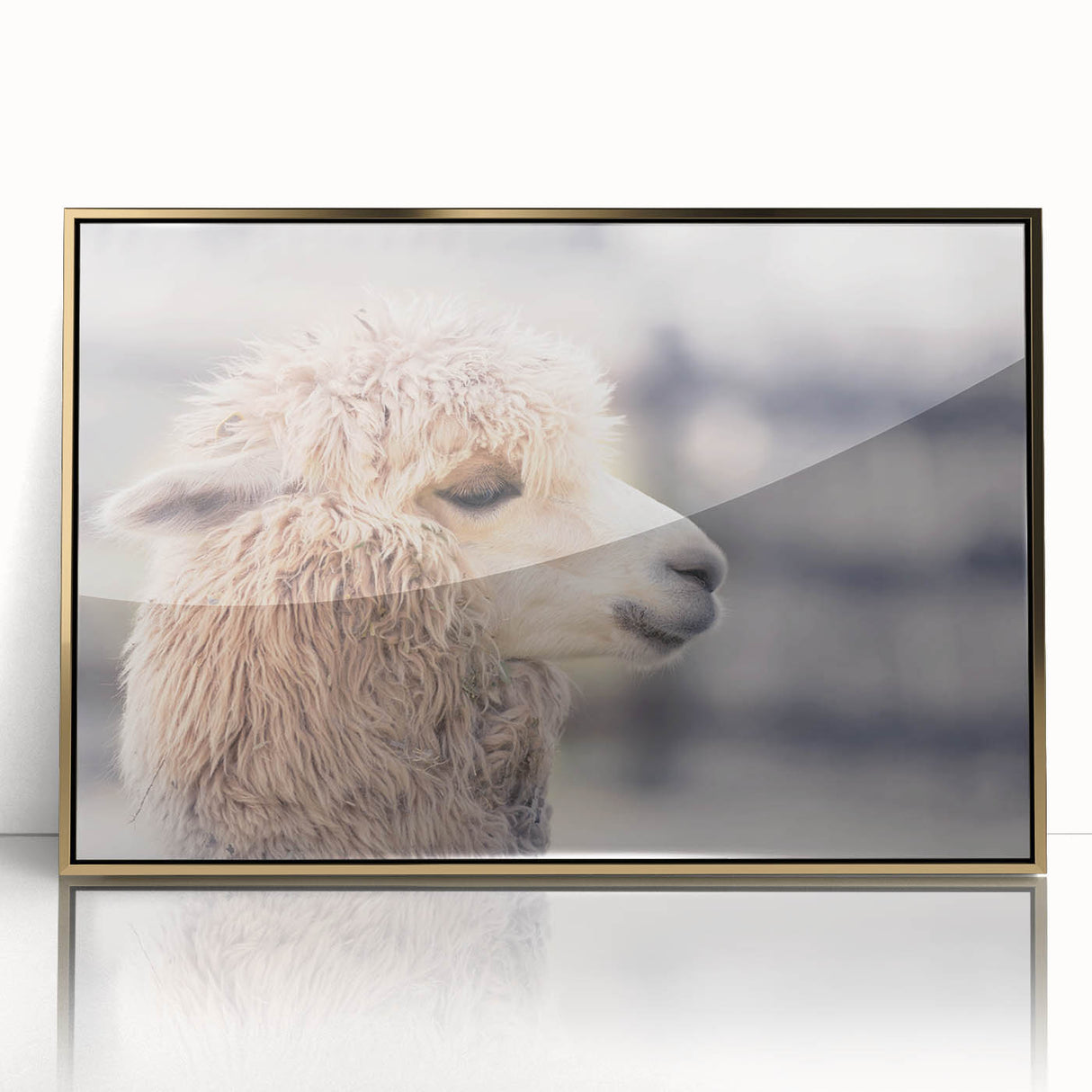 Framed wall art featuring a front view of a llama and alpaca design, showcasing vibrant colors and intricate details, perfect for animal lovers and home decor enthusiasts.