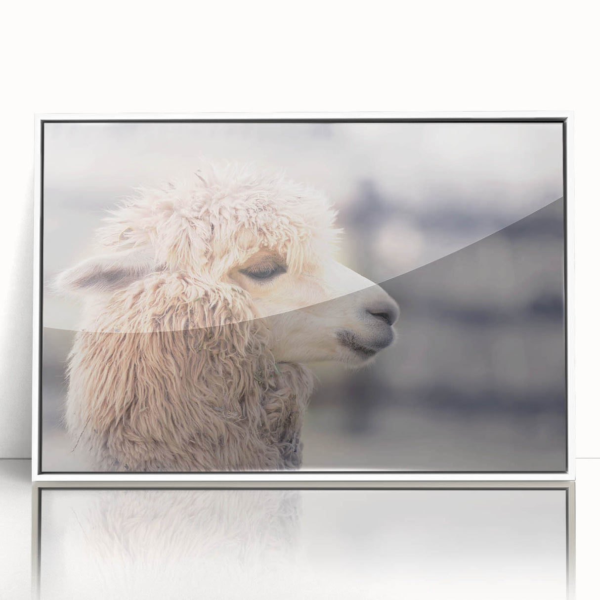 Framed wall art showcasing a whimsical llama and alpaca design, featuring vibrant colors and playful details, perfect for enhancing modern home decor.