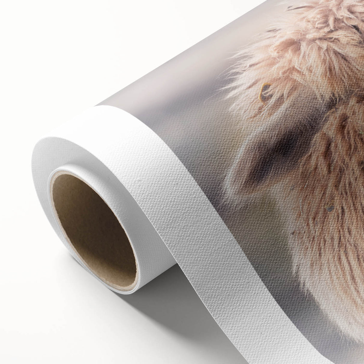 Vibrant rolled canvas featuring a whimsical llama and alpaca design, perfect for animal lovers, showcasing colorful illustrations ideal for home decor.