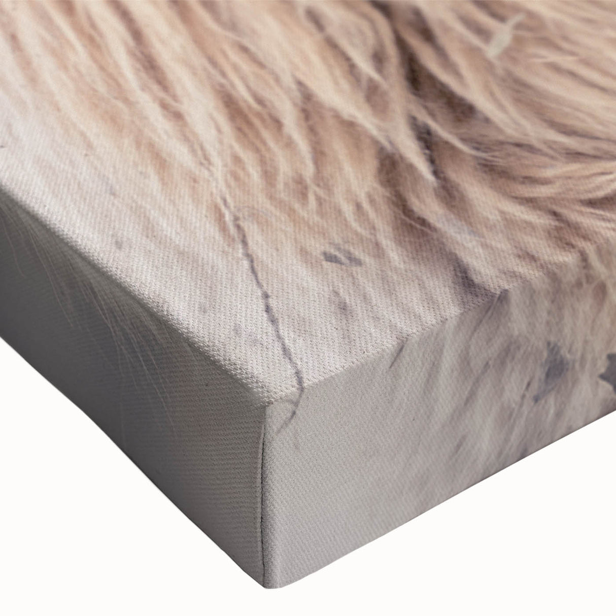 Close-up of a colorful stretched canvas wall art depicting a whimsical llama and alpaca design, featuring intricate details and vibrant colors, perfect for animal lovers.