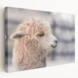 Stretched canvas wall art showcasing a side view of a llama and alpaca, featuring vibrant colors and intricate details, perfect for animal lovers' decor.