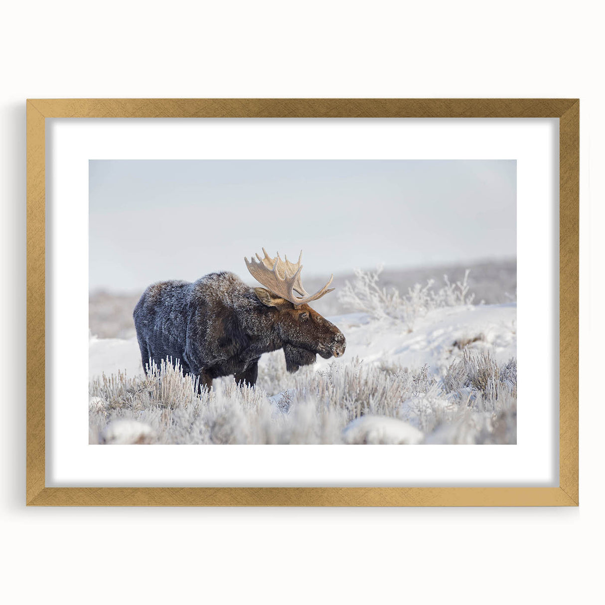 Moose and elk wall art framed with a gold mat, showcasing detailed wildlife design, perfect for nature-themed interior decor, and adding elegance to any space.