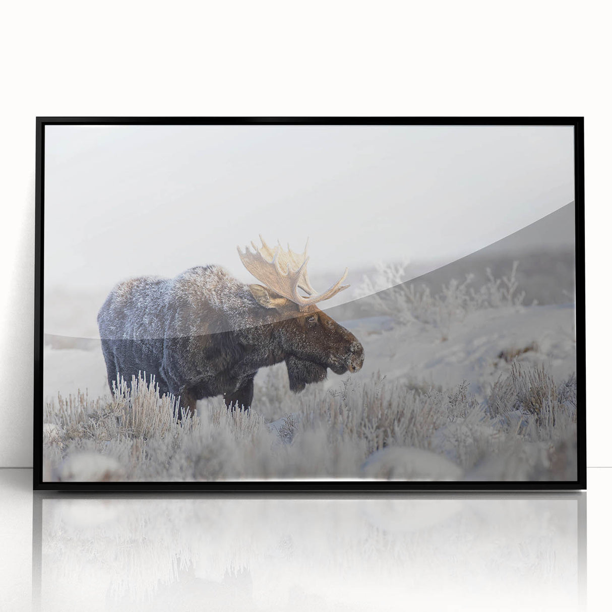 Framed wall art featuring a moose and elk design, set against a black background. The acrylic frame highlights the wildlife theme, perfect for nature lovers.