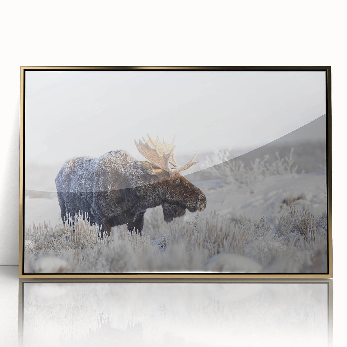 Framed wall art featuring a striking moose and elk design, highlighted by a gold acrylic frame, perfect for wildlife enthusiasts. The artwork showcases intricate details and vibrant colors, ideal for enhancing home decor with a nature-inspired theme.