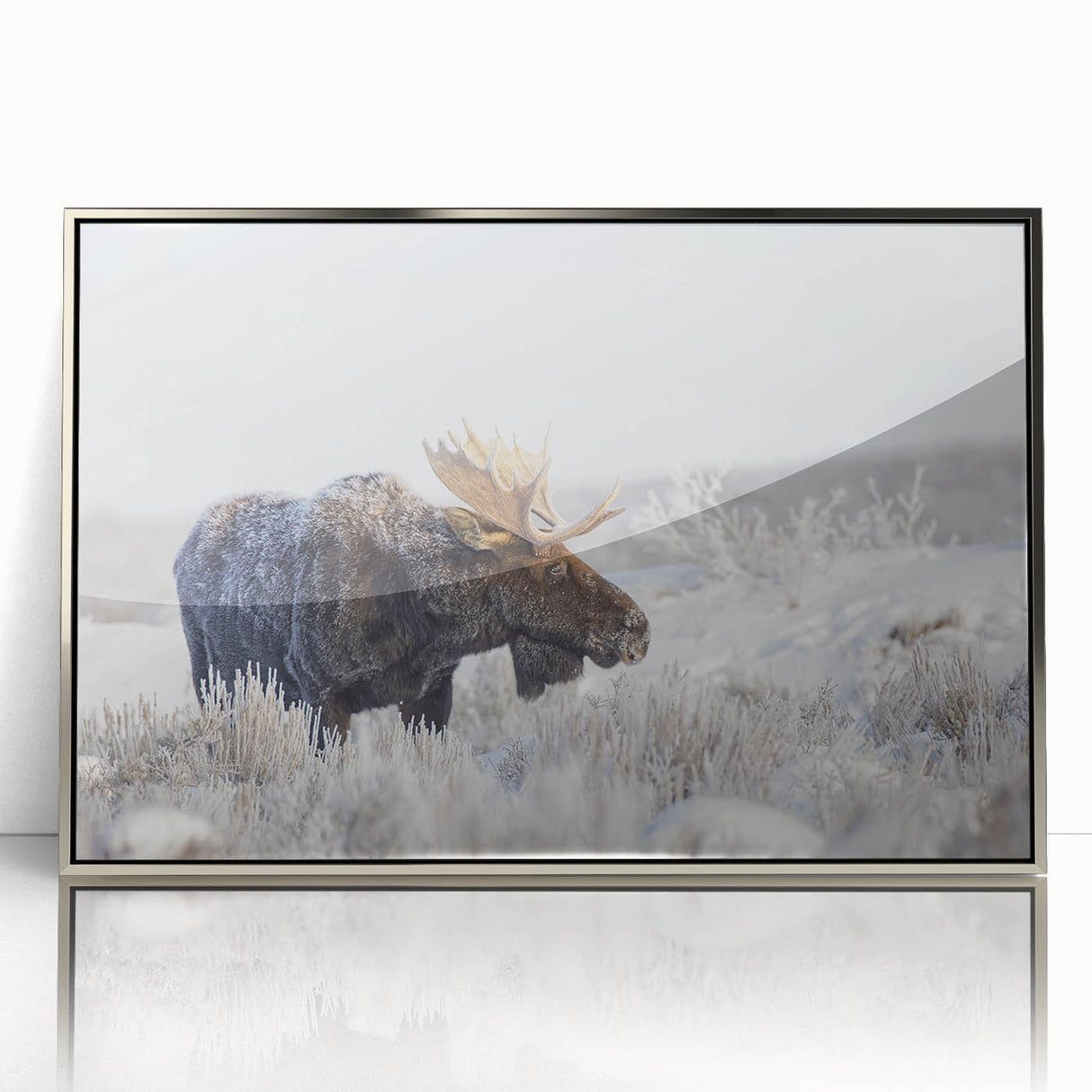 Framed acrylic wall art featuring a moose and elk design from the 'Animals of the Wild' collection. The sleek silver frame enhances the natural beauty of the wildlife scene, making it an ideal decor piece for nature lovers.