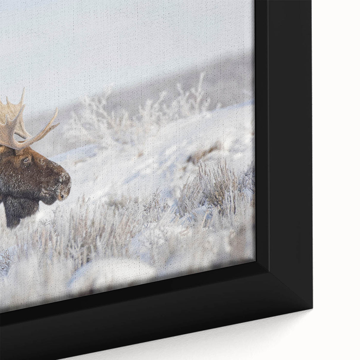 Close-up of a framed canvas wall art featuring a moose and elk design, showcasing intricate details and vibrant colors, perfect for nature-themed decor.
