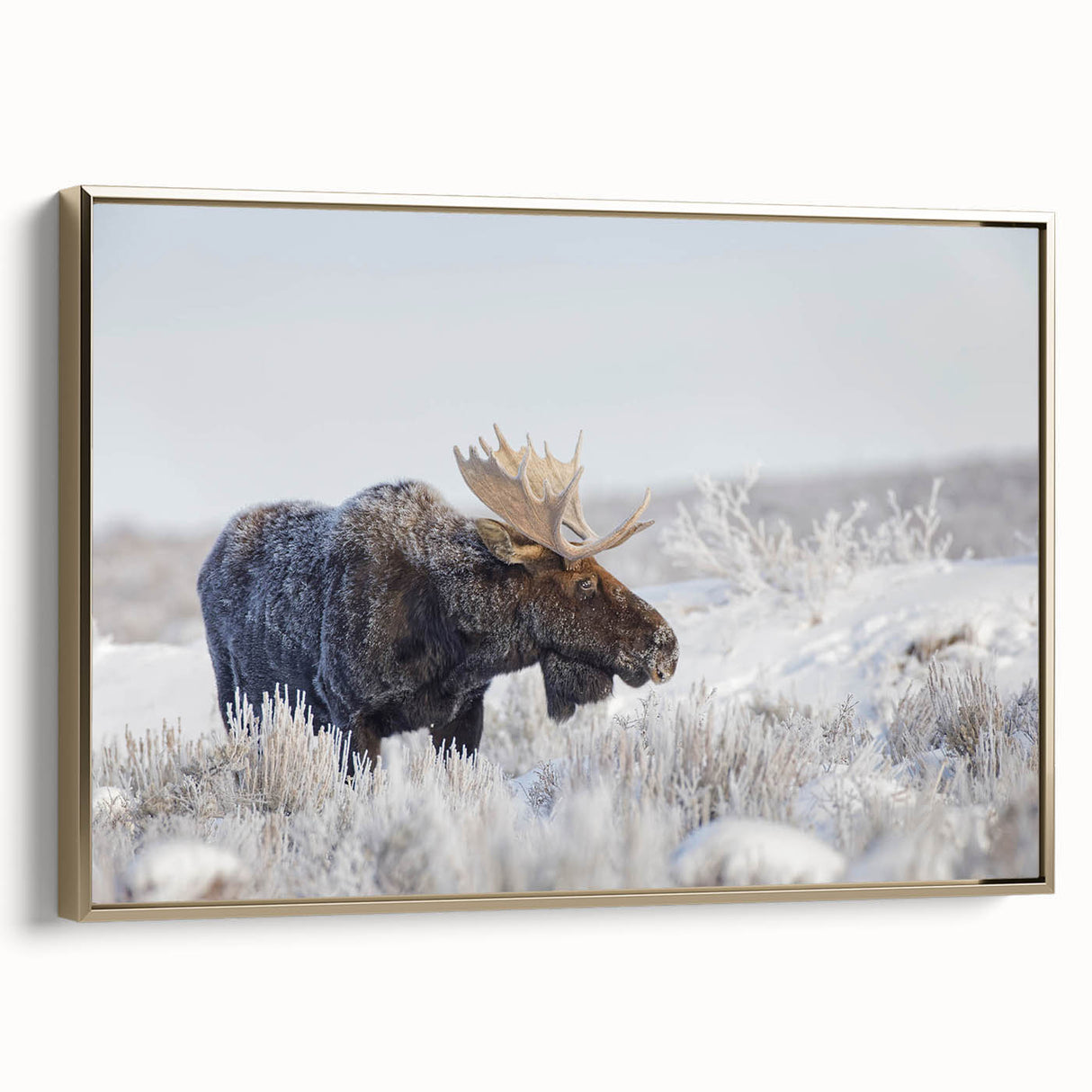 Framed wall art featuring a moose and elk design in a natural setting, with rich colors and intricate details, ideal for nature lovers and home decor enthusiasts.