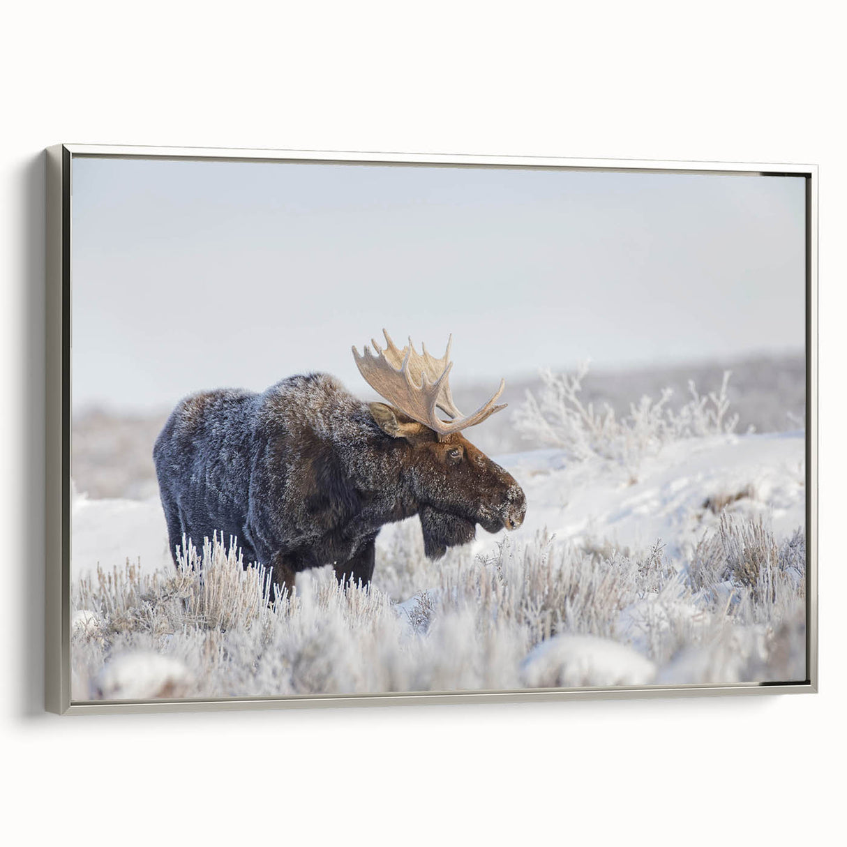 Framed canvas wall art depicting a moose and elk design, showcasing detailed wildlife illustrations in natural colors, perfect for nature enthusiasts’ decor.