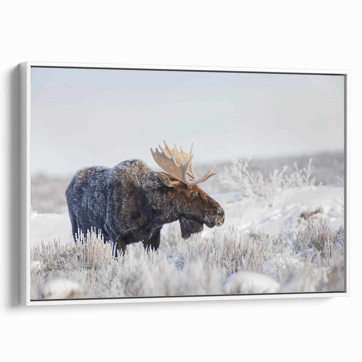 Framed canvas wall art featuring a serene design of moose and elk in a natural setting, showcasing earthy tones and intricate details, ideal for wildlife enthusiasts.