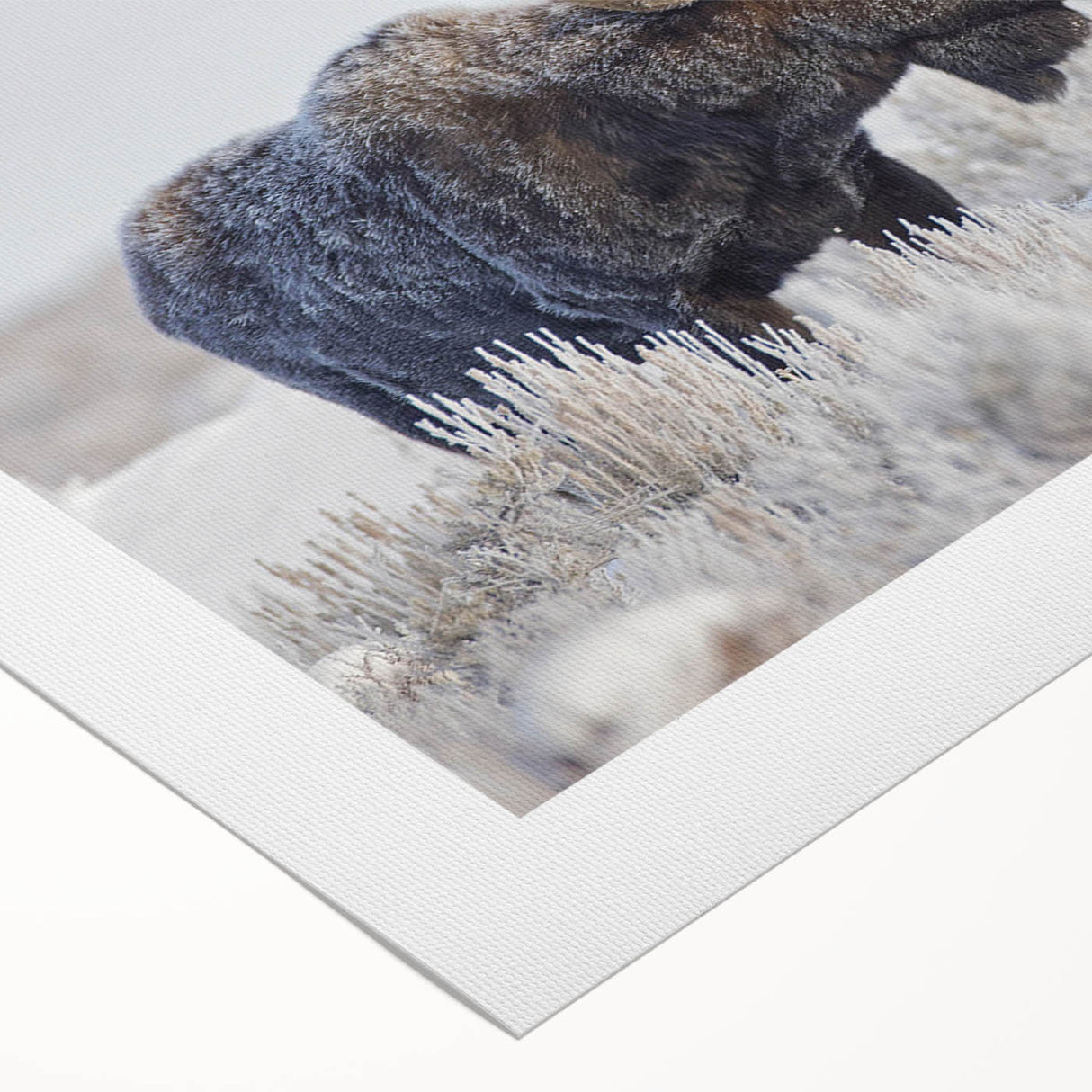 A rolled canvas showcasing a detailed wildlife design featuring a moose and elk, perfect for nature lovers and home decor enthusiasts. The artwork captures the essence of the wilderness with vibrant colors and intricate details, making it an ideal addition to any space.