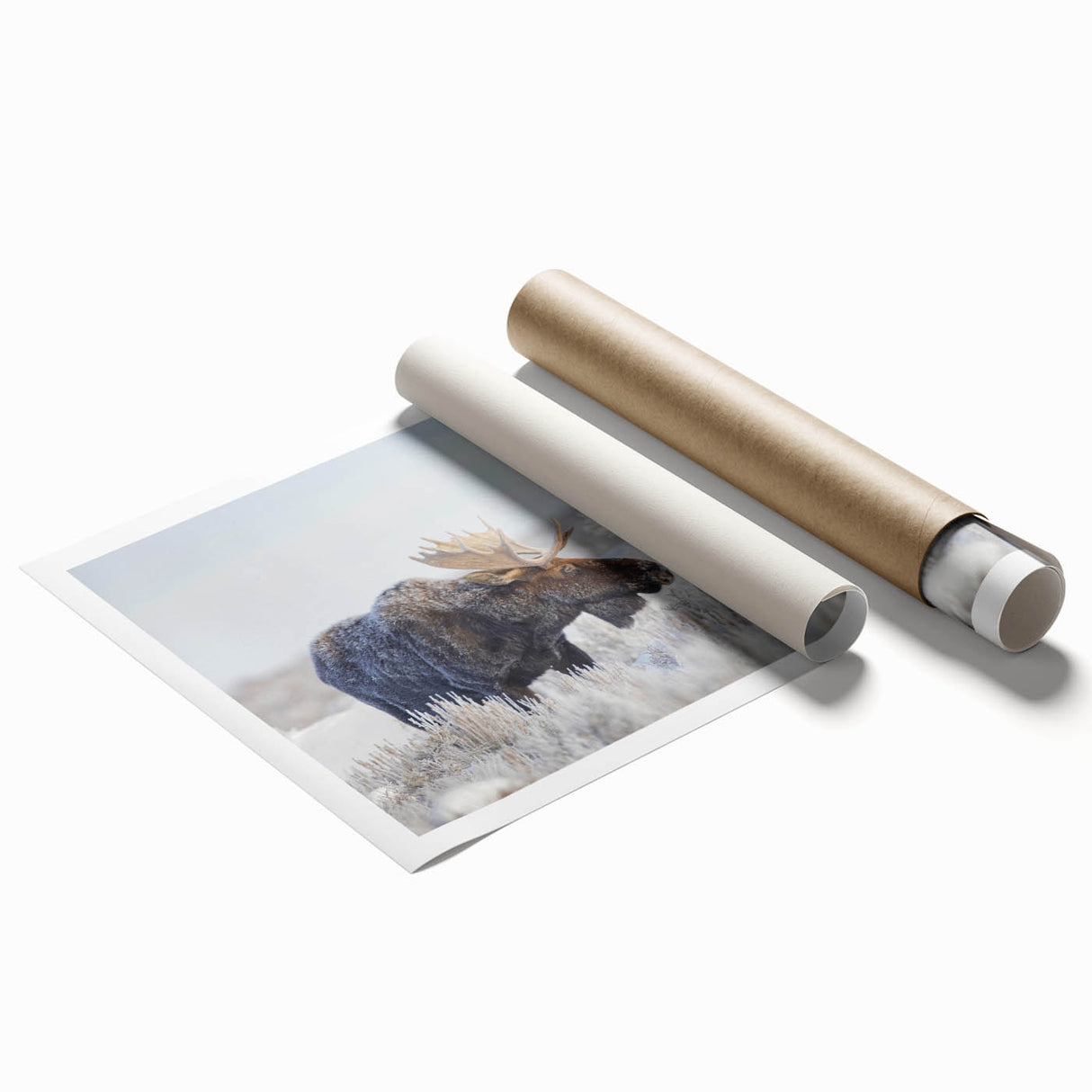 Moose and elk wildlife wall art design on a rolled print, featuring vibrant colors and detailed illustrations, ideal for nature enthusiasts and home decor.