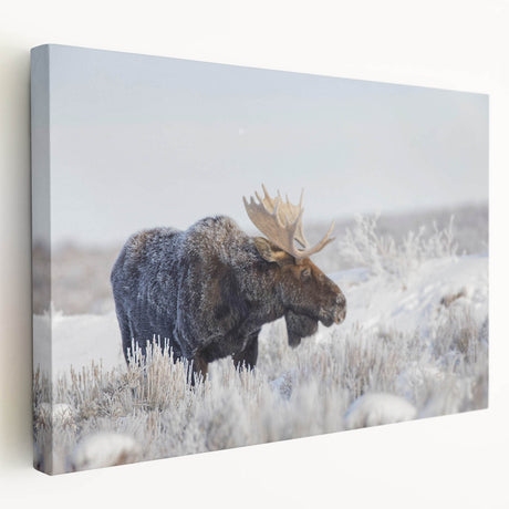 Side view of a stretched canvas wall art featuring a moose and elk design, showcasing intricate wildlife details and vibrant colors, perfect for nature enthusiasts.
