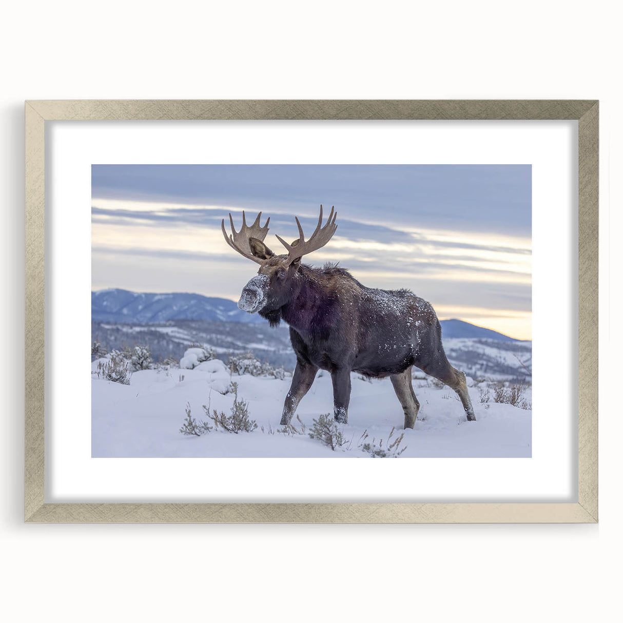 Framed wall art featuring a moose and elk design in a silver finish, showcasing a nature-inspired theme perfect for wildlife enthusiasts. Ideal for home decor.