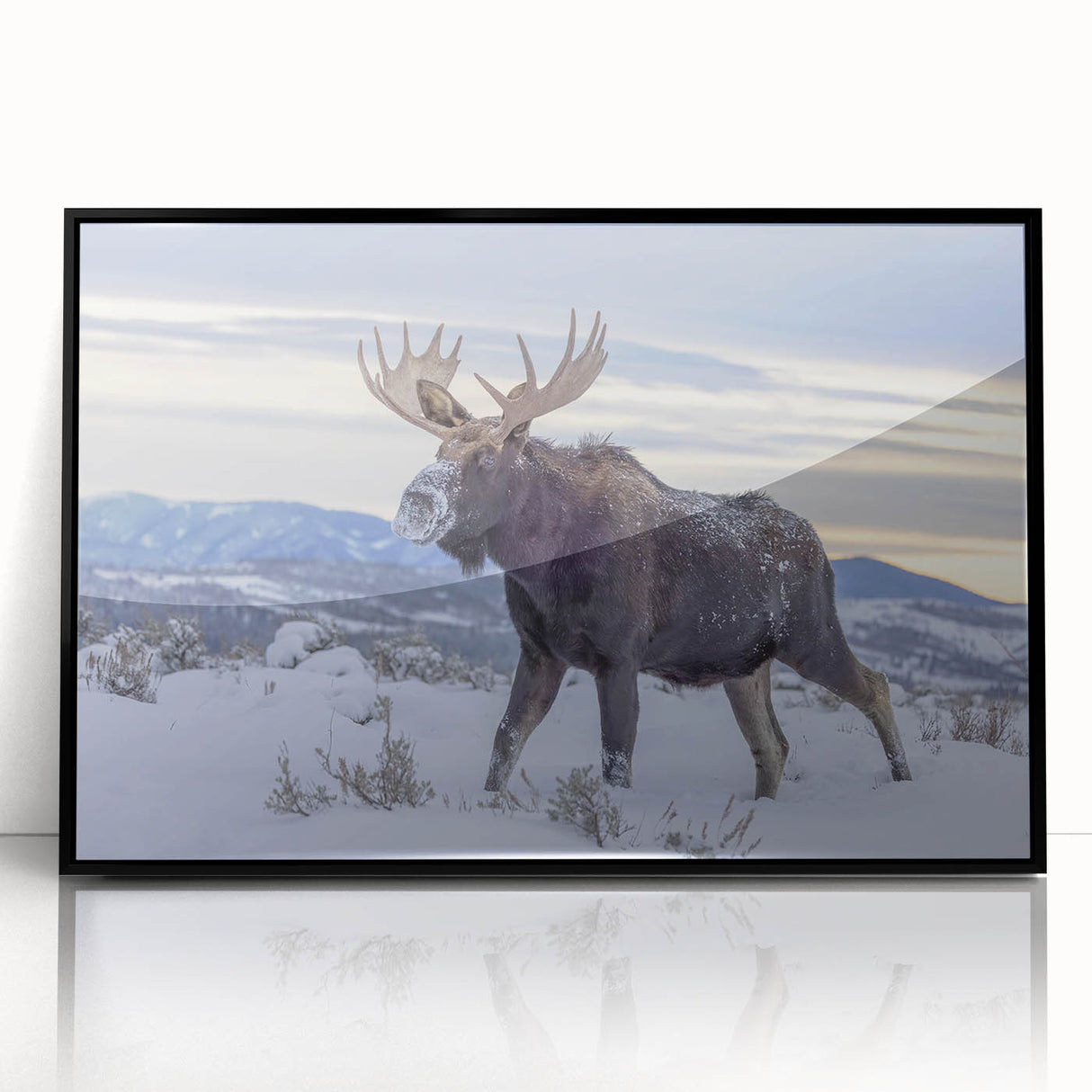 Framed wall art featuring a moose and elk design, showcasing intricate wildlife illustrations in a black frame, ideal for nature enthusiasts' decor.