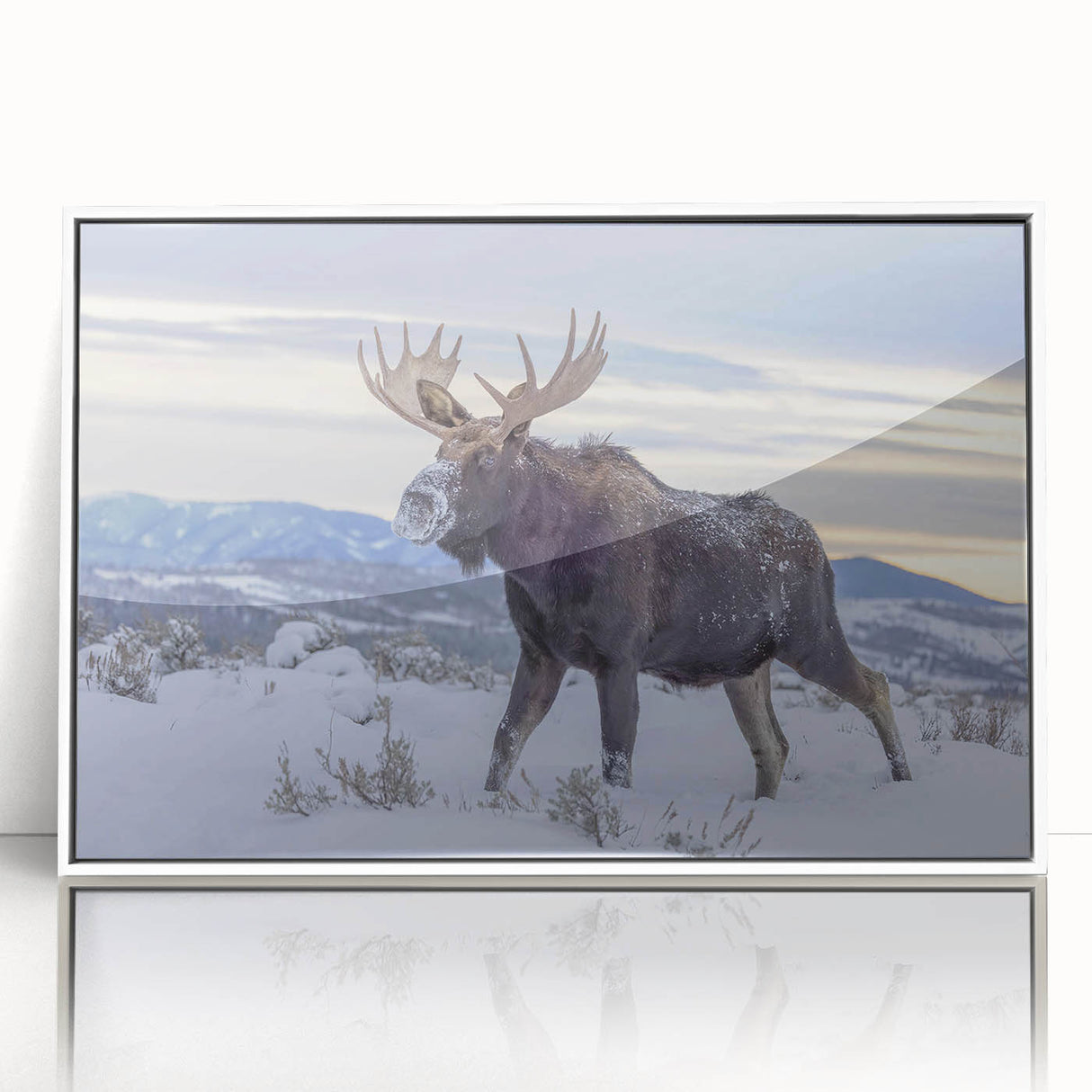 Framed wall art featuring a stunning design of moose and elk in a natural setting, showcasing intricate details and vibrant colors, perfect for wildlife enthusiasts.