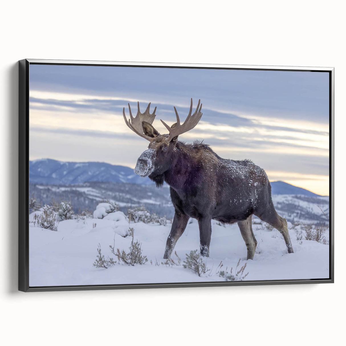 Framed wall art featuring a moose and elk design, showcasing intricate details in earthy tones against a sleek black frame, ideal for wildlife enthusiasts.