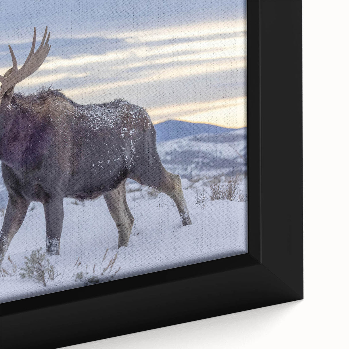 Close-up view of a framed wall art piece showcasing a moose and elk design, featuring vibrant colors and intricate details, perfect for wildlife enthusiasts' decor.