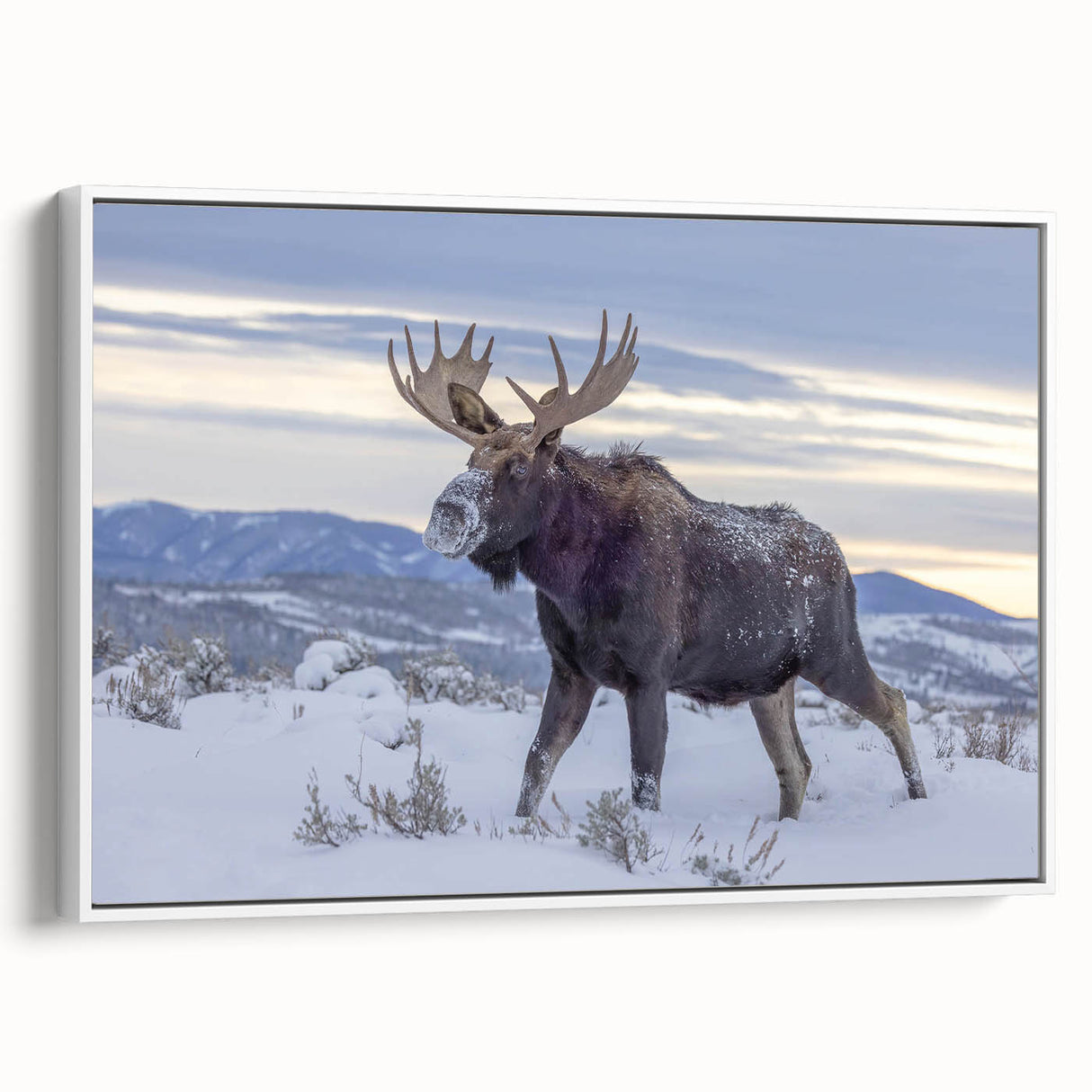 Framed canvas wall art showcasing a moose and elk design in a natural setting, featuring earthy tones and intricate details, ideal for wildlife enthusiasts.