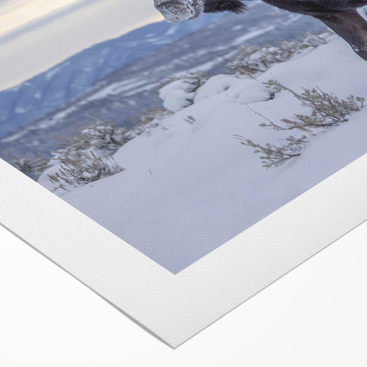 Rolled canvas artwork showcasing a moose and elk design, featuring intricate details and vibrant colors, perfect for nature-themed decor. Ideal for wildlife enthusiasts.