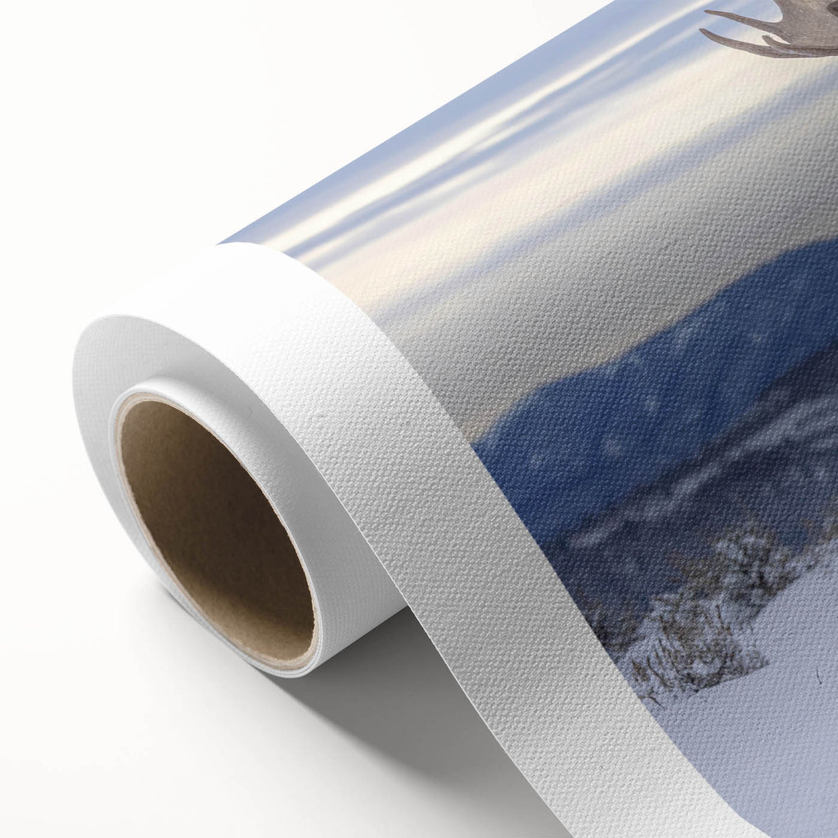 Moose and elk wall art design on rolled canvas, showcasing detailed wildlife illustrations against a natural backdrop, perfect for nature enthusiasts' decor.