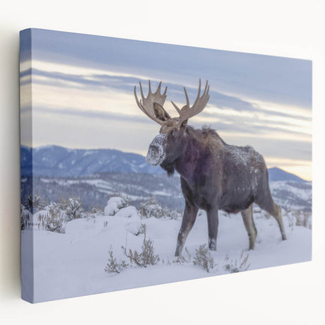Side view of a stretched canvas wall art featuring a moose and elk design in a natural landscape, showcasing detailed textures and vibrant colors, ideal for wildlife enthusiasts.